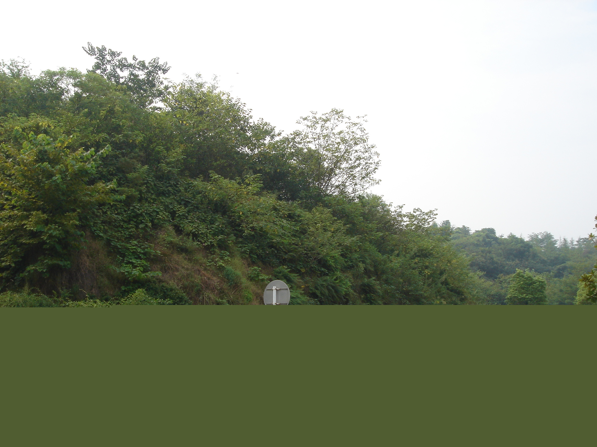 2008.jpg